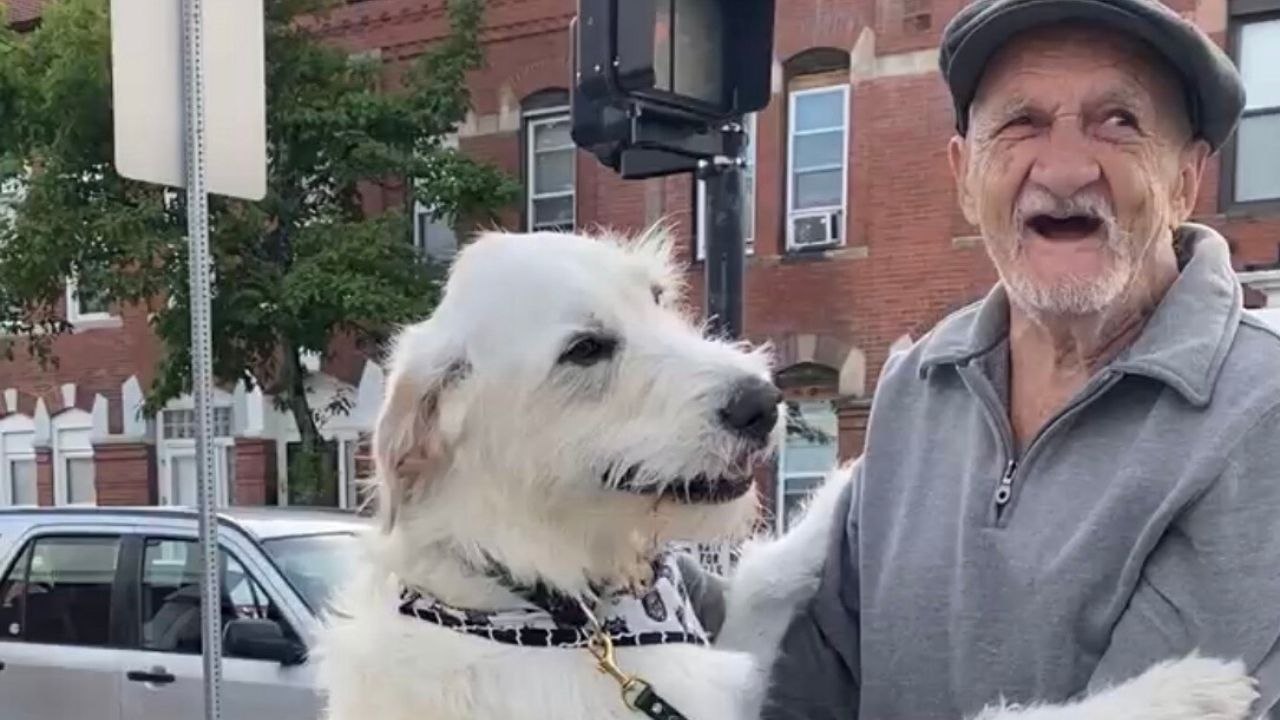 Dog Reunites With Beloved Neighbor After Two Months | Wild-ish TV