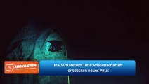 In 8.900 Metern Tiefe: Wissenschaftler entdecken neues Virus