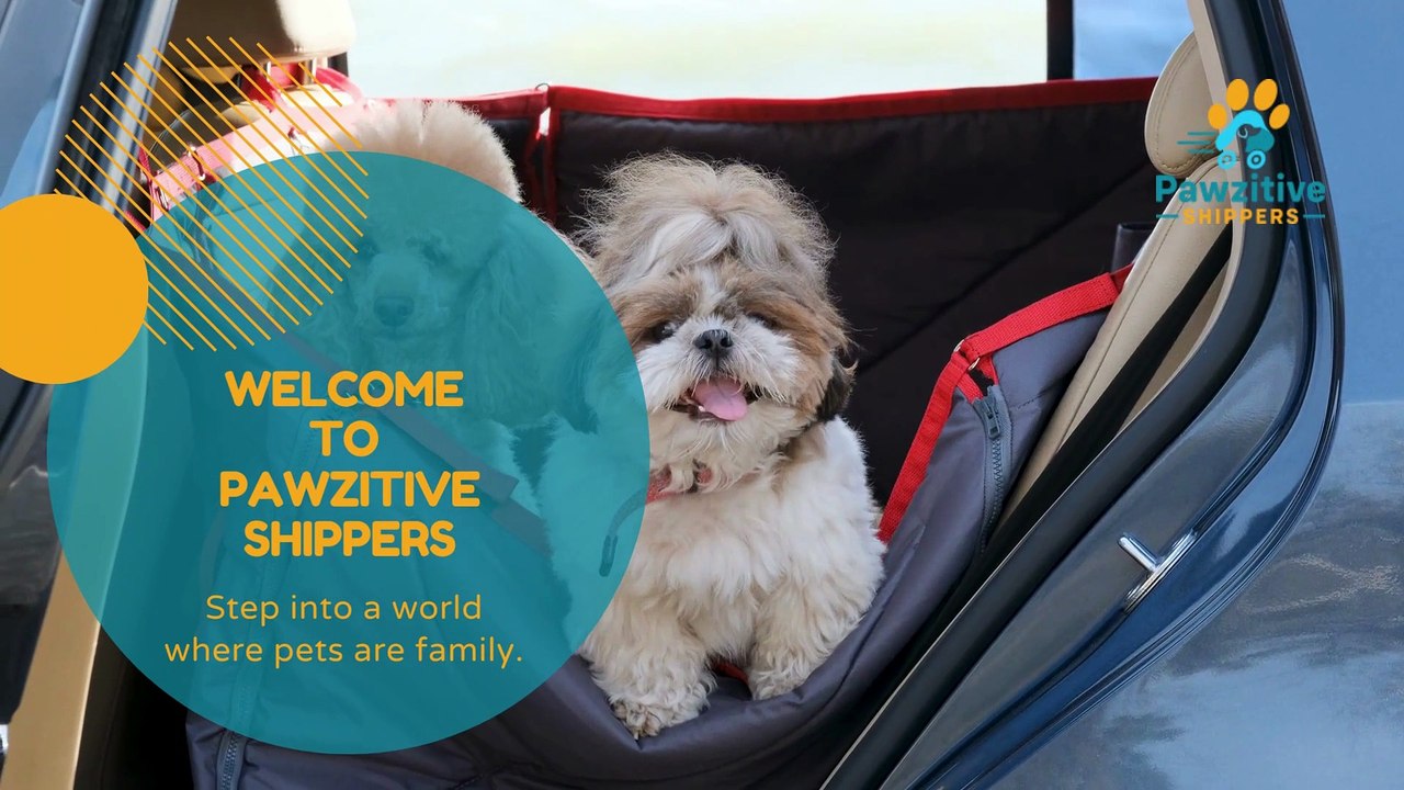 Seamless Pet Shipping Solutions in Arizona: Your Furry Friend's Journey Made Easy