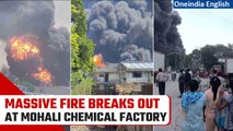 Punjab: Fire breaks out in chemical factory in Mohali injuring 5 labourers | Oneindia News