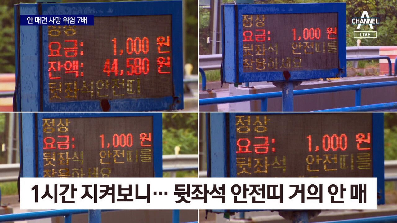 뒷자리 안전띠 안 매면 사망 사고 위험 7배