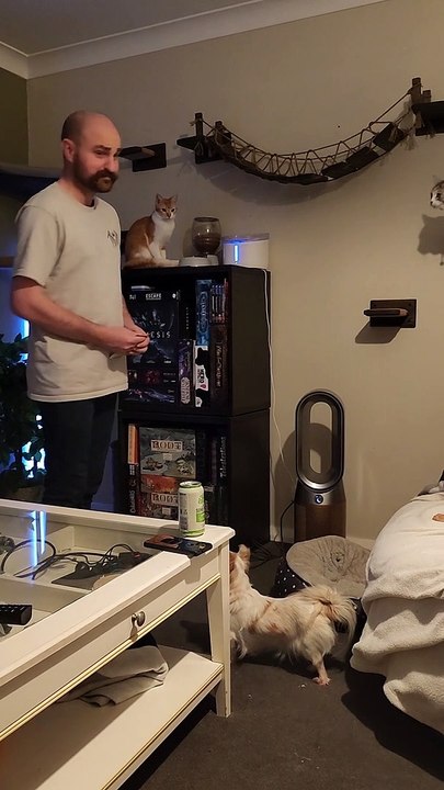 Pets Gather For Pet Of The Week Ceremony