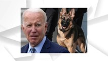 Biden’s Dog Commander Bites Yet ANOTHER Secret Service Agent