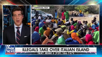 fox news tv - Everything Biden has done has torn down our borders- Brandon Judd