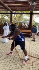 Liger vs. Human: Unbelievable Tug of War Challenge in Dubai || Best of Internet