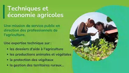C'est quoi un technicien supérieur du ministère chargé de l'agriculture ?