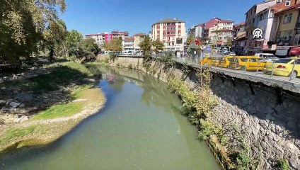 Les décès de poissons dans la rivière Bartın ont été examinés