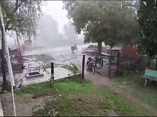बीस मिनट मूसलाधार बरसात, खेतों में फसलों को  नुकसान-video