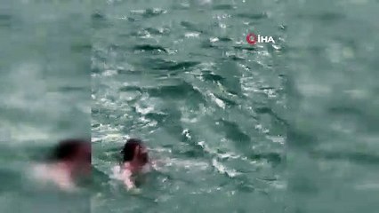 İstanbul'da denize düşen yolcu: Bu da oldu! Denizin altından vatandaş kurtarıldı!