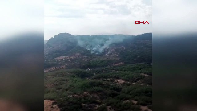 Bergama'da Ormanda Yangın Kontrol Altına Alındı
