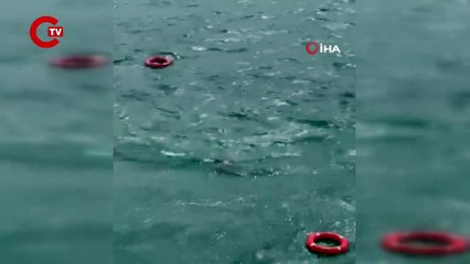 Yolcu denize düştü, vapur seferine devam etti