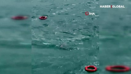 İstanbul'da bir yolcu vapurdan denize düştü