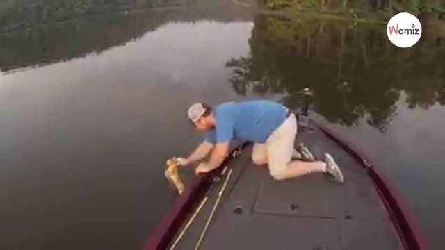 Le pêcheur sauve un chat qui se noie, et n’en croit pas ses yeux quand il voit autre chose dans l’eau ! (Vidéo)