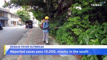 3 More People Die of Dengue Fever, Outbreak Passes 10,000 Cases in Taiwan