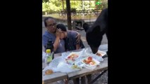 Un orso irrompe durante picnic, mamma protegge figlio con sindrome di Down