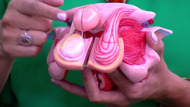 bd-vph-en-hombres-prevencion-y-tratamientos-270923