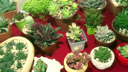 Alto Jaular emprendedores | 27 setiembre 2023