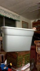 L'ascenseur pour chiens descend