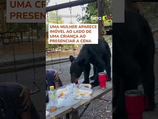 Urso interrompe piquenique e devora toda a comida de família no México
