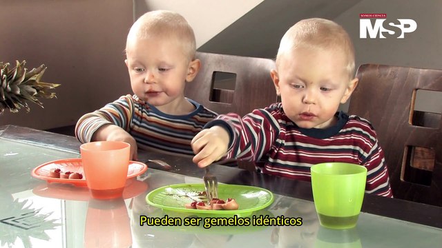 Día Mundial de los Nacimientos Múltiples: ¿Por qué se celebra este día?