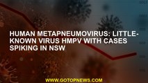 Human metapneumovirus: Little-known virus HMPV with cases spiking in NSW