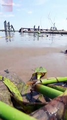 Drinking water threatened in Louisiana as salt water creeps in the Mississippi River  #usa #short
