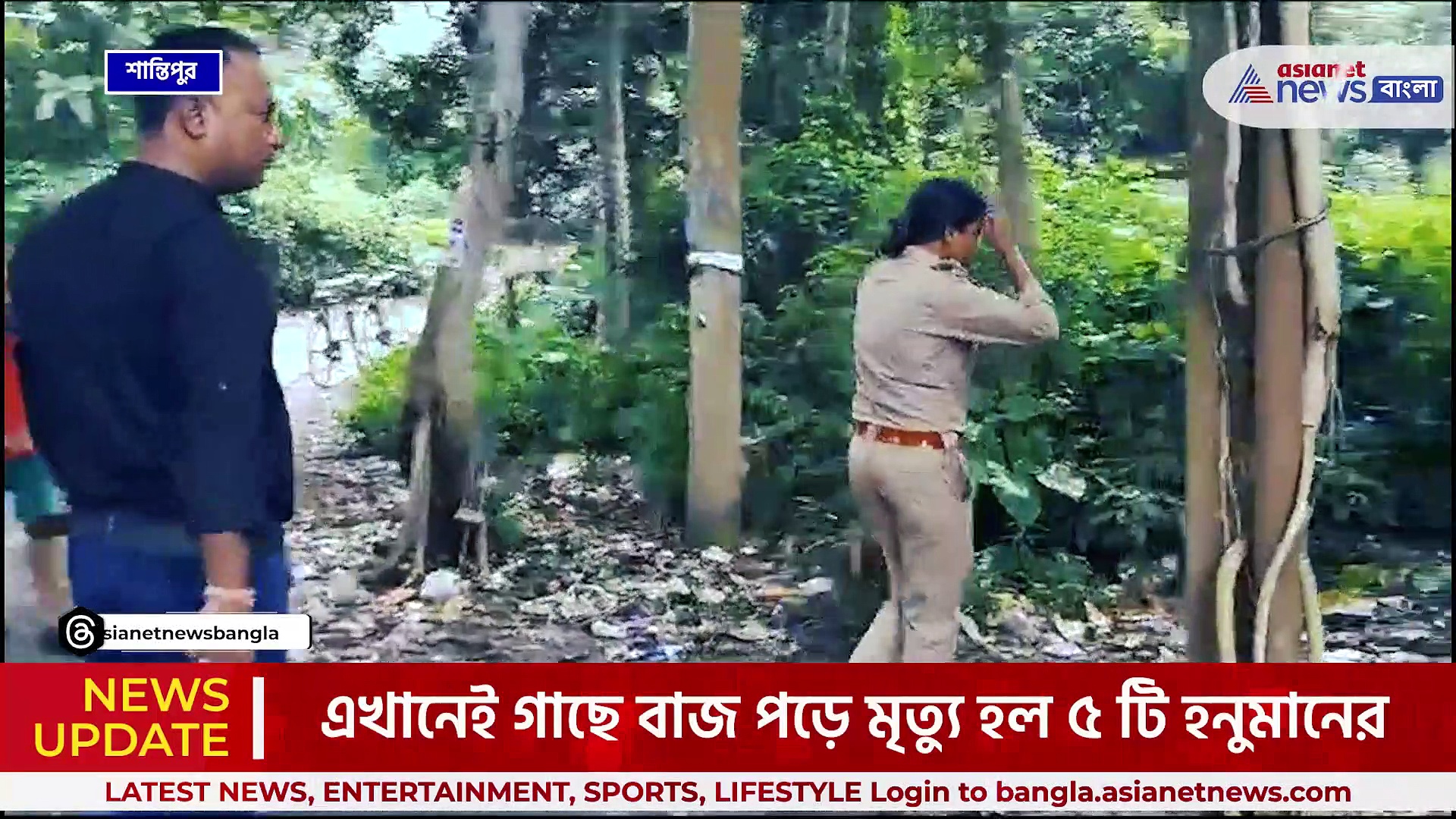 Nadia News : তুমুল বৃষ্টি, বাজ পড়তেই সব শেষ! বজ্রাঘাতে ৫ টি হনুমানের মৃত্যু, শোকের ছায়া এলাকায়