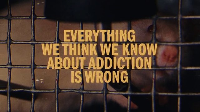 Eps 1 - Everything we think we know about addiction is wrong