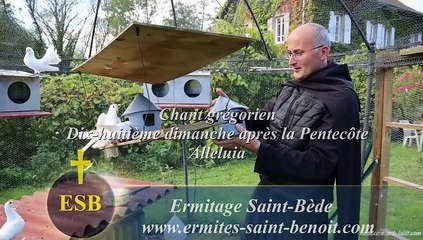 Alléluia Timebunt gentes du 18e dimanche après la Pentecôte - Ermitage Saint-Bède - Jean-Claude Guerguy pour Ciné Art Loisir.