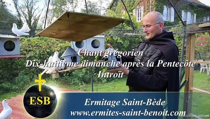 Introït Da pacem du 18e dimanche après la Pentecôte - Ermitage Saint-Bède - Jean-Claude Guerguy pour Ciné Art Loisir.