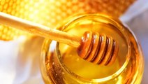 Is Tualang Honey Better than Manuka? Here Are Its Many Benefits