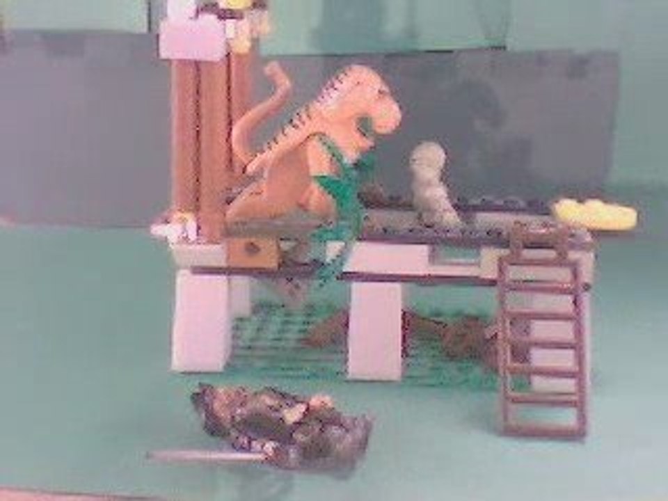 (3)Les pirates dans: Les diamants sauvages