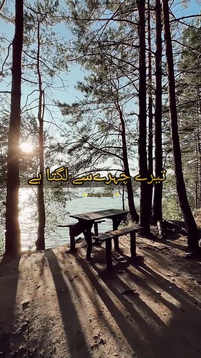 Dil❤️ sad Urdu poetry lines || Heart touching shayari lines