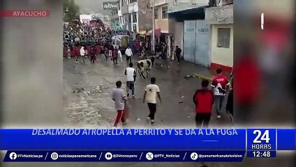 下载视频: Ayacucho: toro embiste a hombre y lo deja inconsciente durante corrida