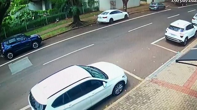 Árvore cai e atinge dois carros na Rua Afonso Pena