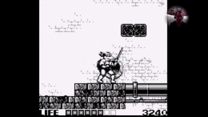 Teenage Mutant Ninja Turtles: Fall of The Foot Clan (Game Boy)