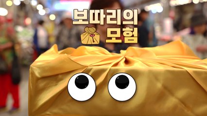 [영상] 보따리의 모험 / YTN