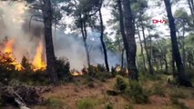 Çanakkale'de Yıldırım Düşmesiyle Orman Yangını Çıktı