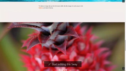 Microsoft Sway Course Section 6 Templates and Inspiration