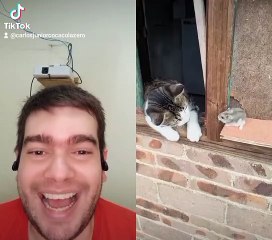 Amizade inusitada kkk