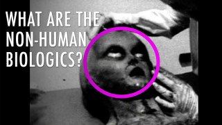 Is the Government Hiding Dead Extraterrestrials? | Unveiled
