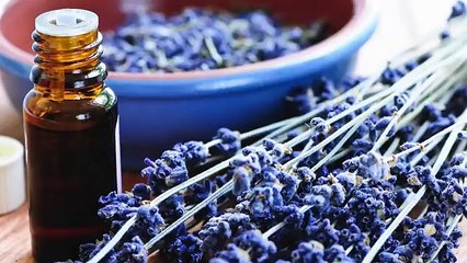 Calm Music, Soft Soothing Instrumental Music, Spa Music, Massage Music