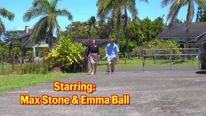 It Takes a Tutu to Raise a Village | movie | 2023 | Official Clip