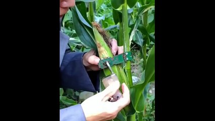 New Funny and Fail Videos 2023  Cutest People Doing Funny Things 3