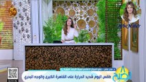 الاعلامية هبة ماهر 8 الصبح طقس اليوم شديد الحرارة على القاهرة الكبرى والوجه البحري