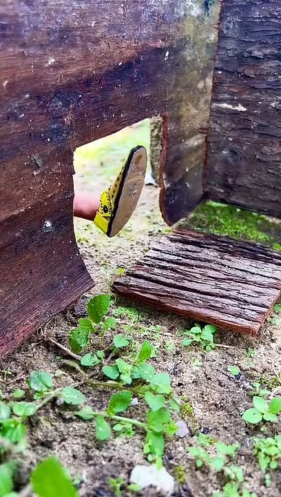 Funny video 2023