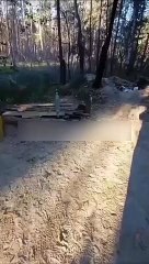 Слава российским коррупционерам. Минобороны Шойгу отправляет на фронт пустые снаряды без тротила