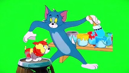 Green_Screen_Cartoon_Video_-_Tom_and_Jerry free video no copyright claim