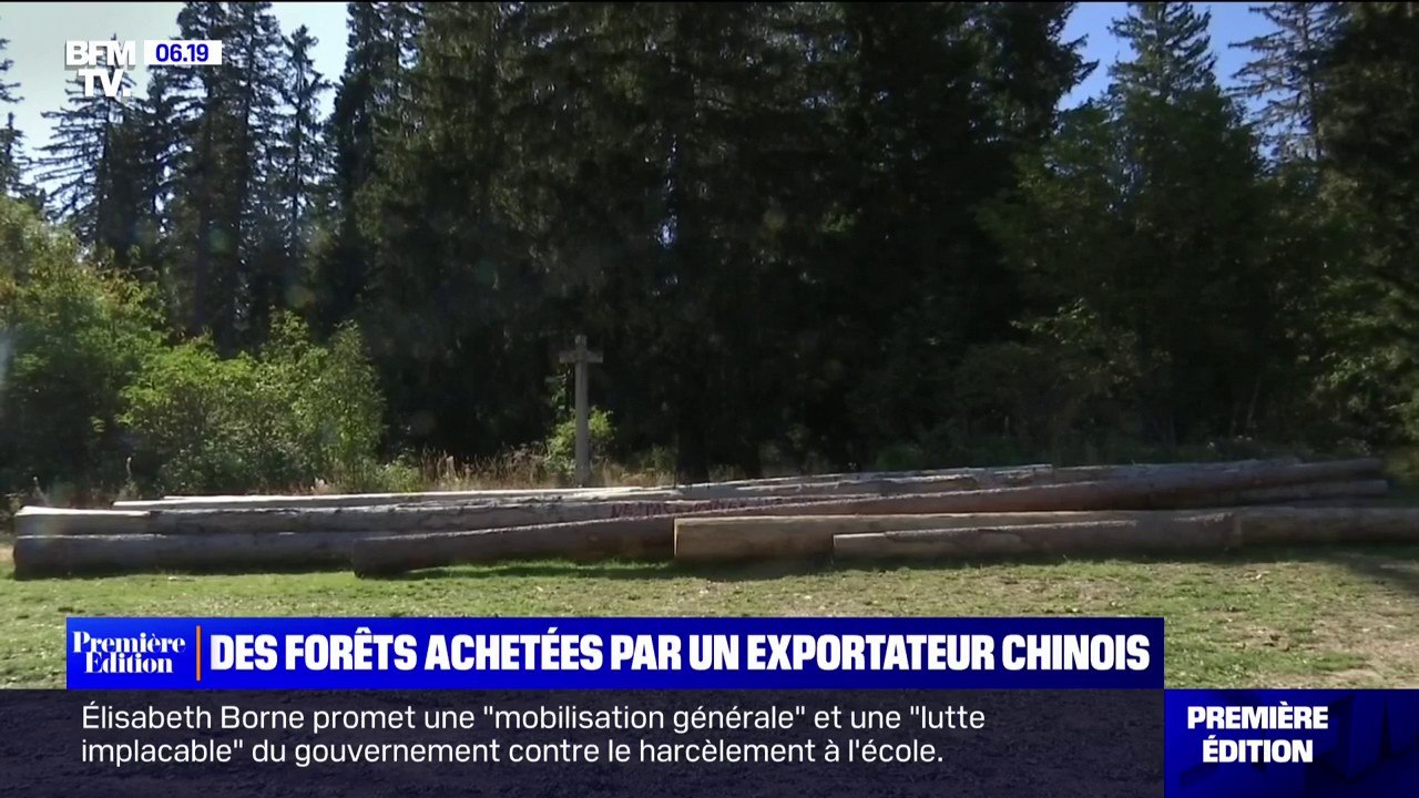 Des lots de bois issus des forêts iséroises achetées par la Chine