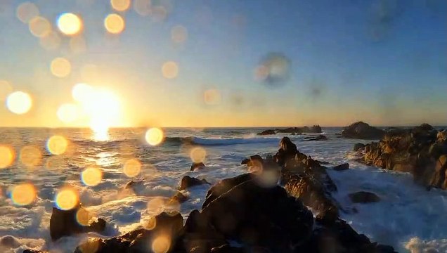 4K Nature Video | Paradise | Study | Peaceful View | Calming